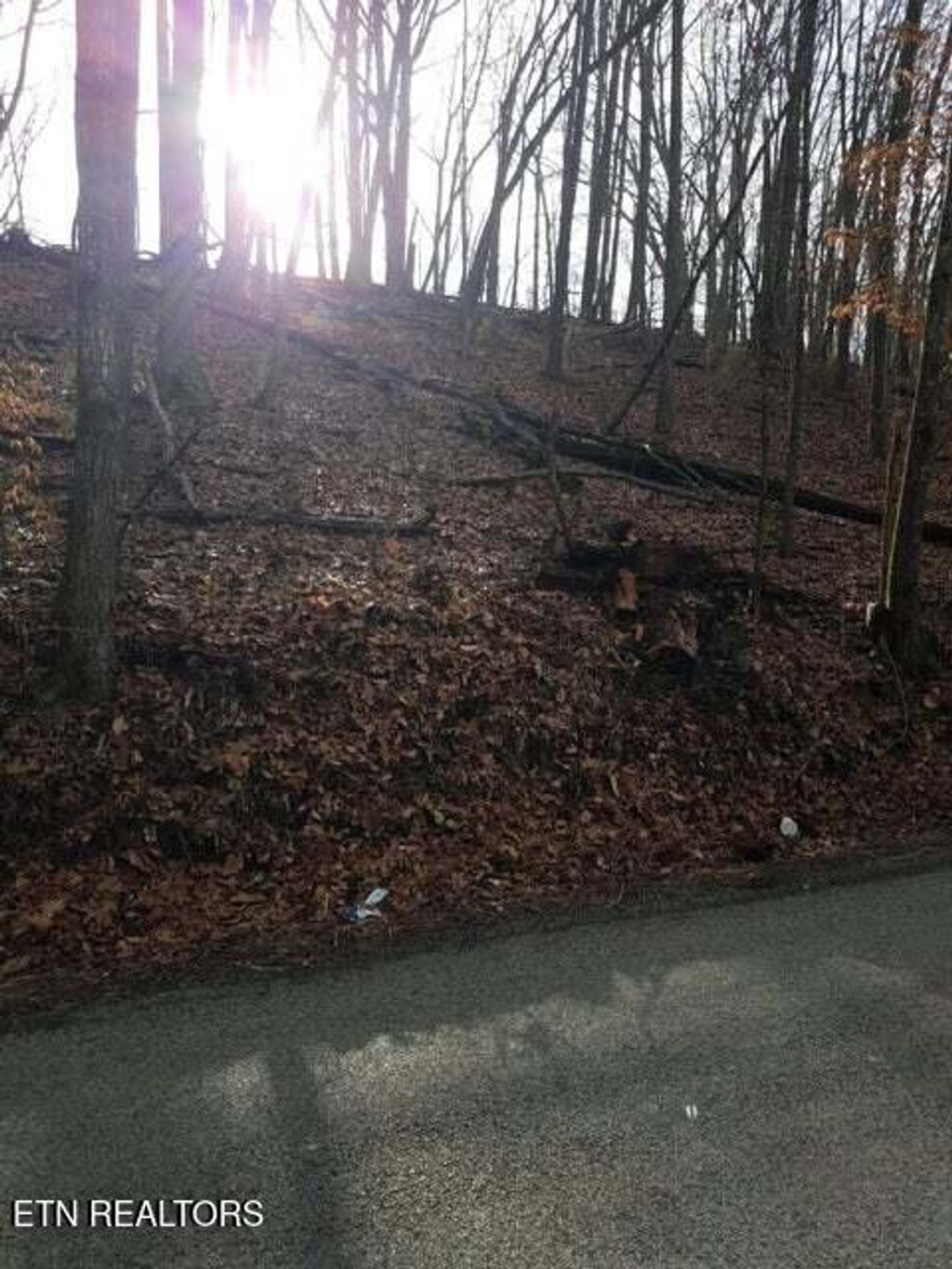 Photo of Old Cave Springs Rd, Tazewell, TN 37879 (MLS # 1288872)