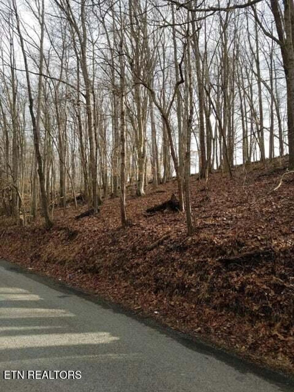 Photo of Old Cave Springs Rd, Tazewell, TN 37879 (MLS # 1288872)