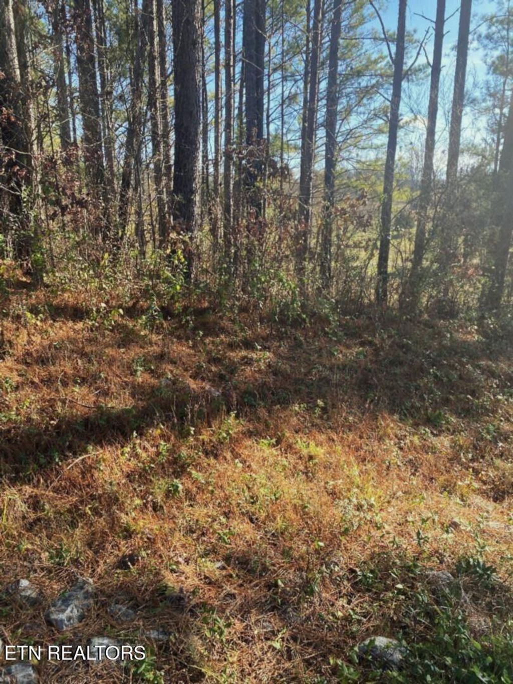 Photo of Tommy Loop Rd, Sweetwater, TN 37874 (MLS # 1323422)