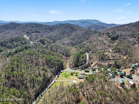 Tiny photo for 786 Pine Mountain Rd, Pigeon Forge, TN 37863 (MLS # 1332185)