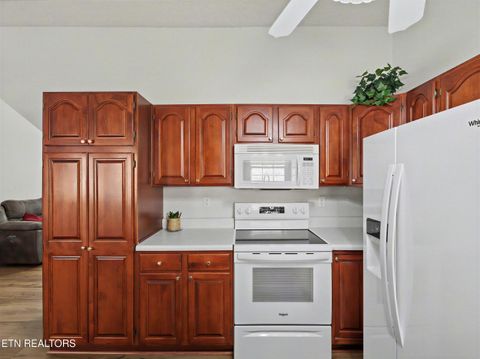 Tiny photo for 786 Pine Mountain Rd, Pigeon Forge, TN 37863 (MLS # 1332185)