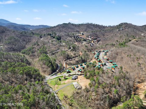 Tiny photo for 786 Pine Mountain Rd, Pigeon Forge, TN 37863 (MLS # 1332185)
