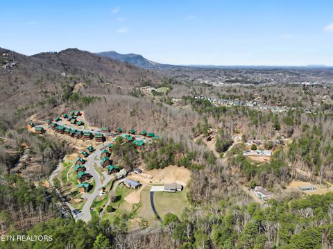 Tiny photo for 786 Pine Mountain Rd, Pigeon Forge, TN 37863 (MLS # 1332185)