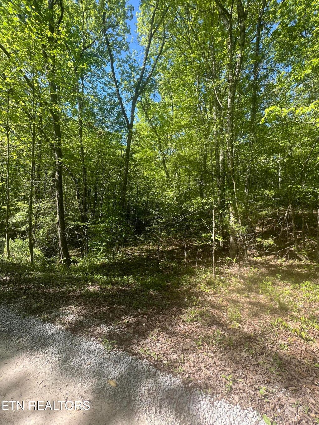 Photo of 0 Lake Overlook Drive, Spring City, TN 37381 (MLS # 1311398)