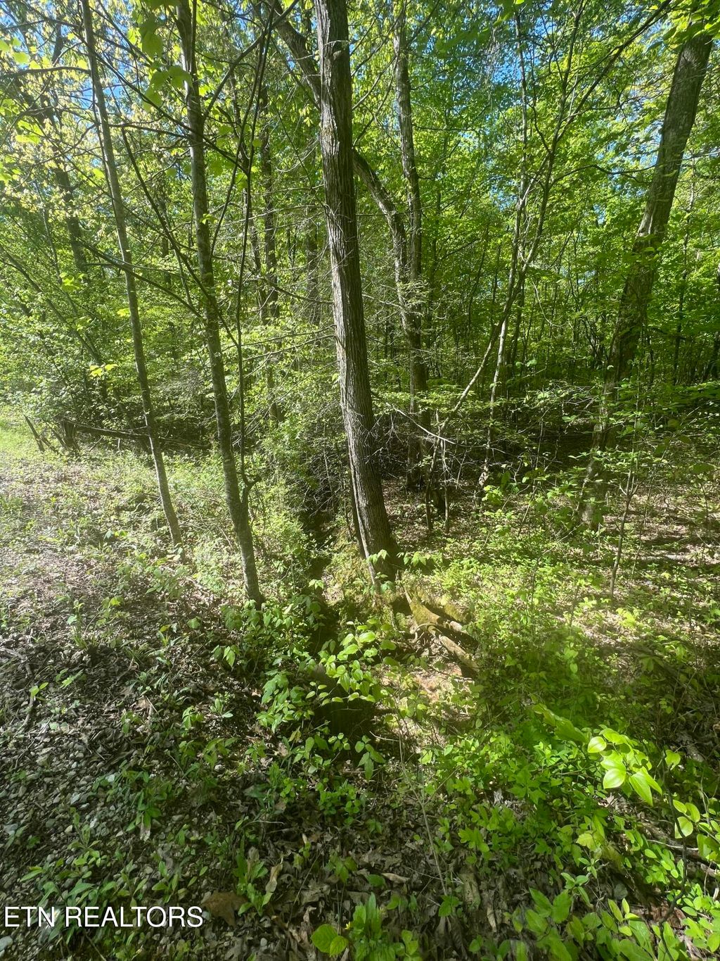 Photo of 0 Lake Overlook Drive, Spring City, TN 37381 (MLS # 1311398)