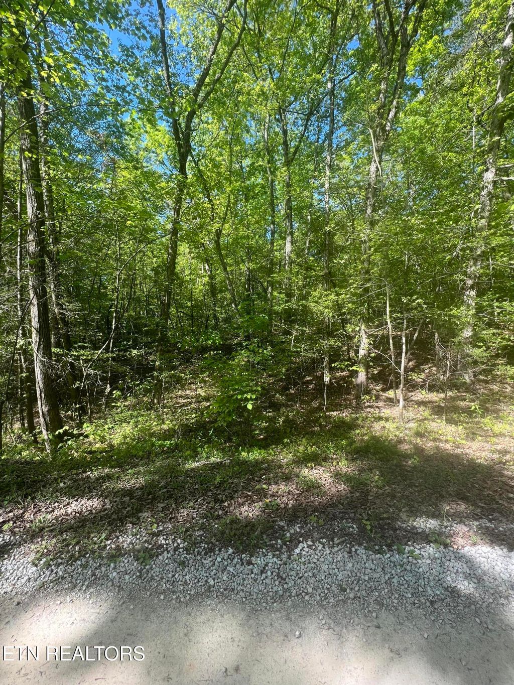 Photo of 0 Lake Overlook Drive, Spring City, TN 37381 (MLS # 1311398)