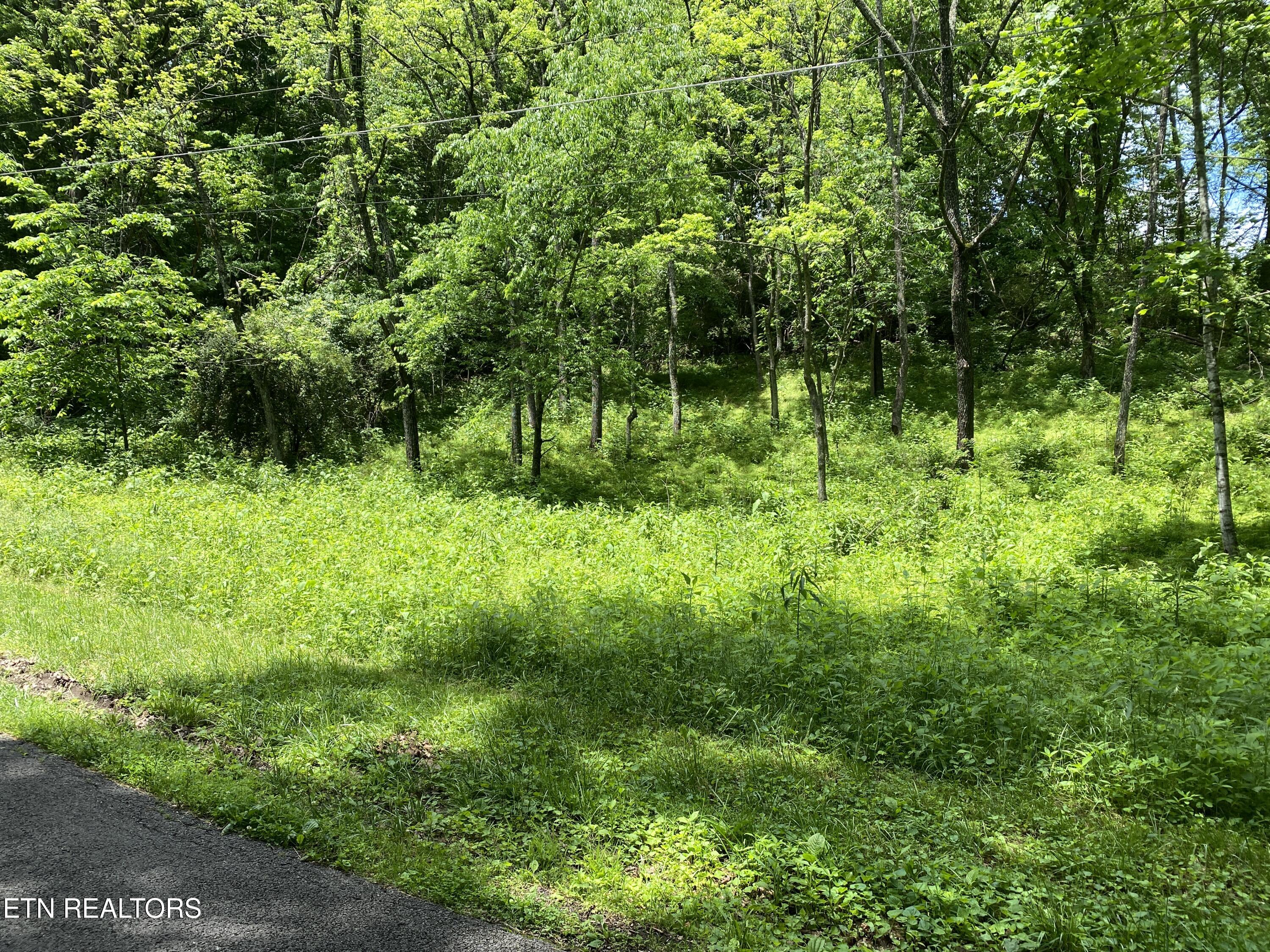N Slope Lane