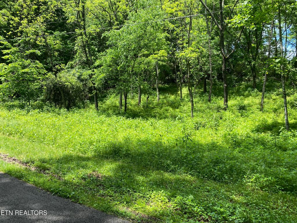 Photo of N Slope Lane, Clinton, TN 37716 (MLS # 1303890)