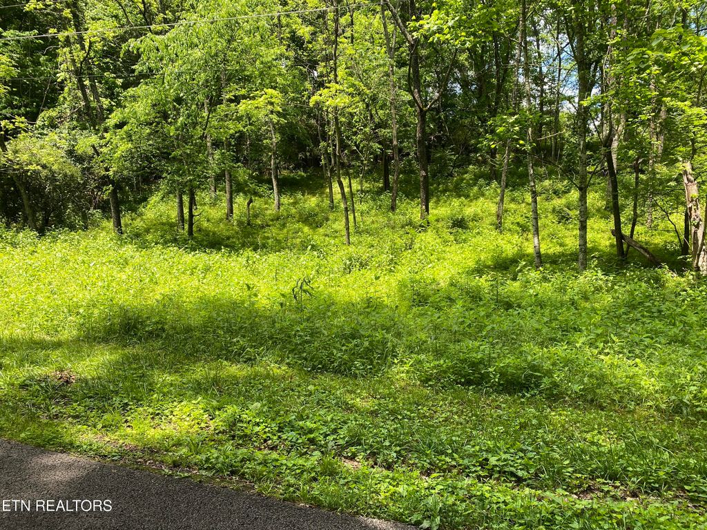 Photo of N Slope Lane, Clinton, TN 37716 (MLS # 1303890)