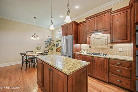 Tiny photo for 256 Ivy Gate Lane, Knoxville, TN 37934 (MLS # 1338173)