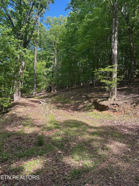 Photo of 490 Fox Ridge Lane, Caryville, TN 37714 (MLS # 1338989)