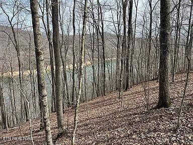 490 Fox Ridge Lane