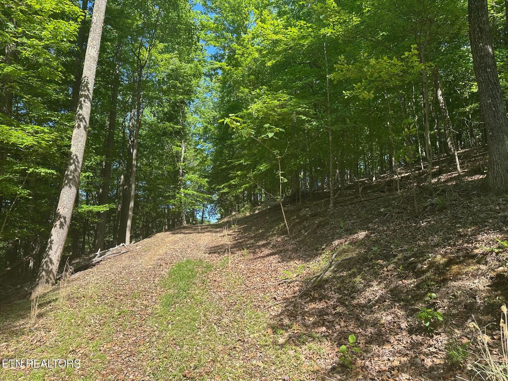 Photo of 490 Fox Ridge Lane, Caryville, TN 37714 (MLS # 1338989)