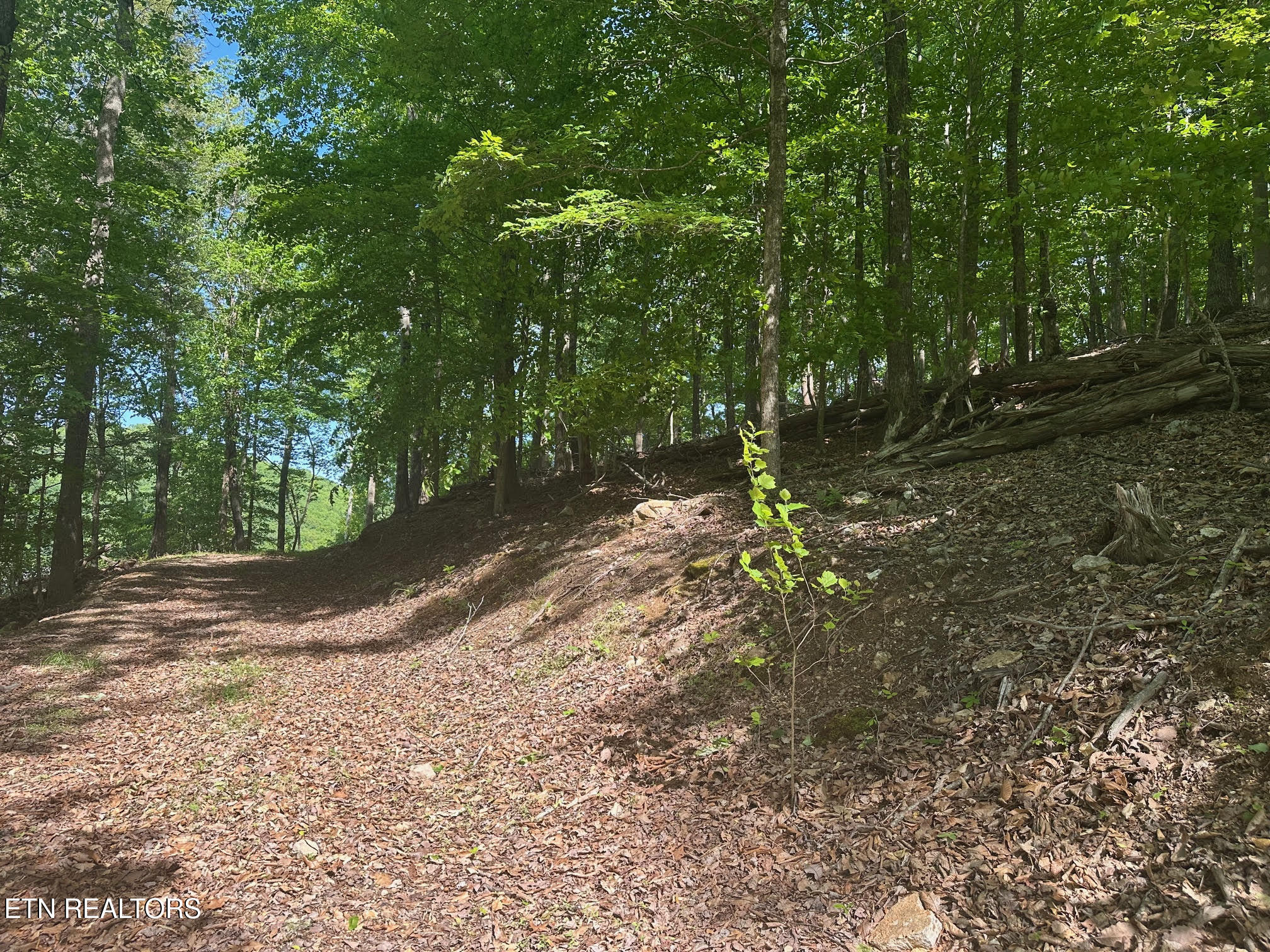 490 Fox Ridge Lane