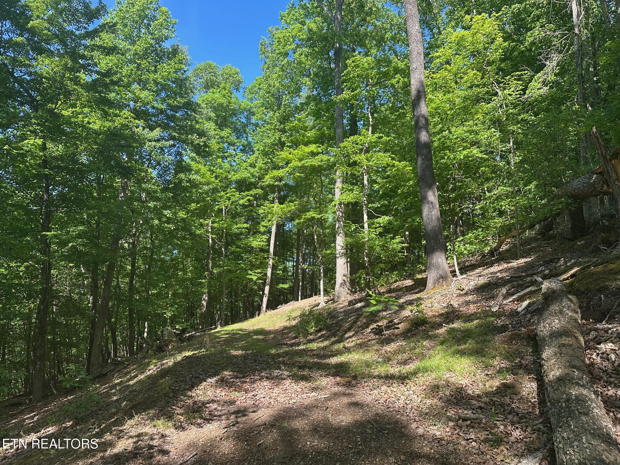 490 Fox Ridge Lane