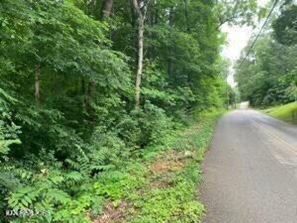 Photo of 6504 Milroy Lane, Knoxville, TN 37918 (MLS # 1323816)