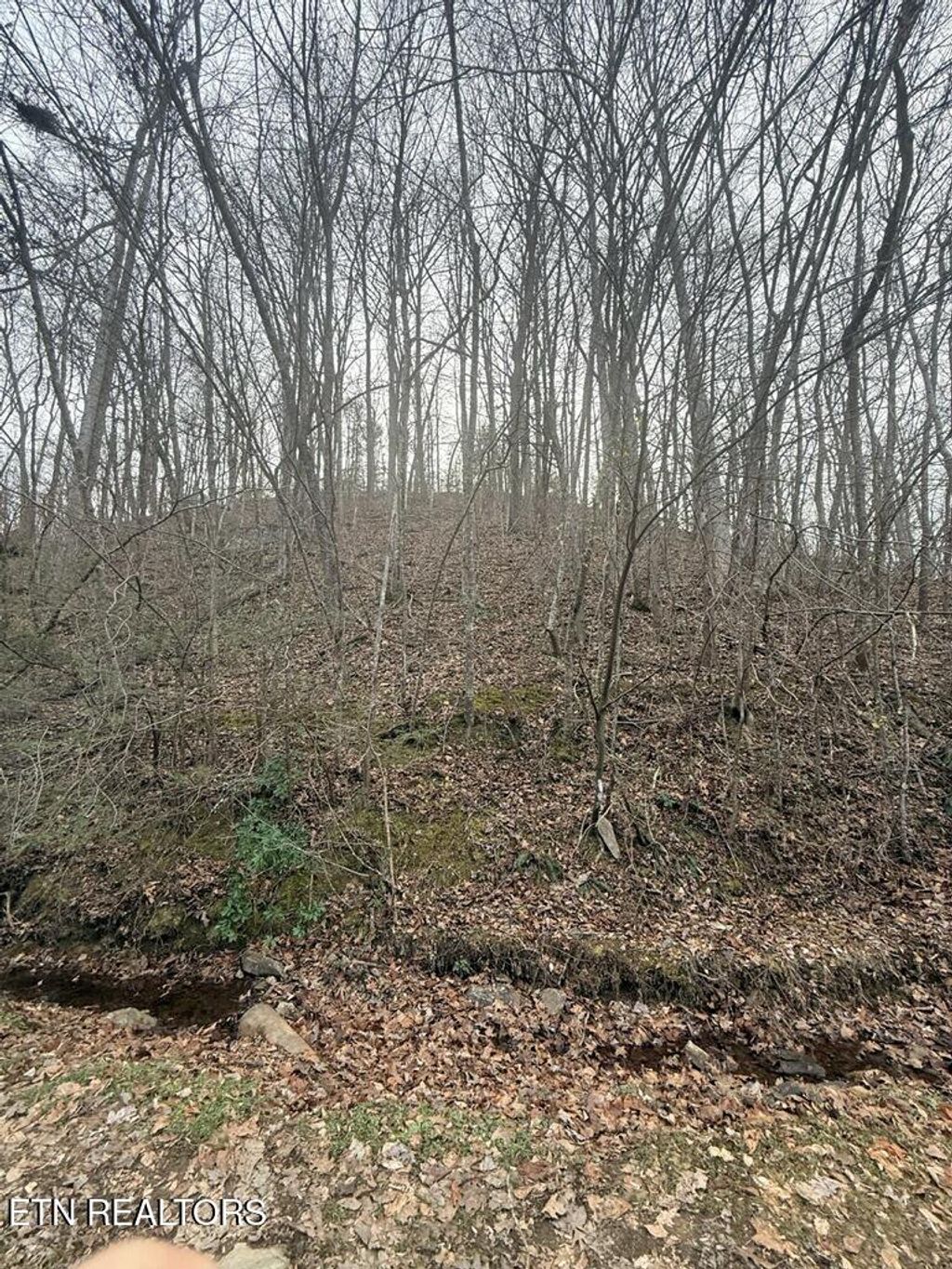 Photo of Lakeview Drive, Sevierville, TN 37876 (MLS # 1328777)
