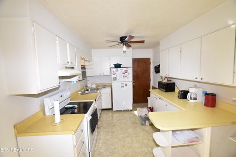 Tiny photo for 6814 Texas Valley Rd, Knoxville, TN 37938 (MLS # 1317577)