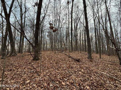 Tiny photo for 361 County Road 38, Riceville, TN 37370 (MLS # 1328103)