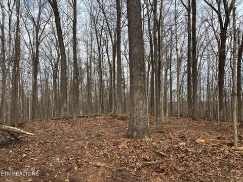 Tiny photo for 361 County Road 38, Riceville, TN 37370 (MLS # 1328103)