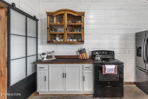 Tiny photo for 361 County Road 38, Riceville, TN 37370 (MLS # 1328103)