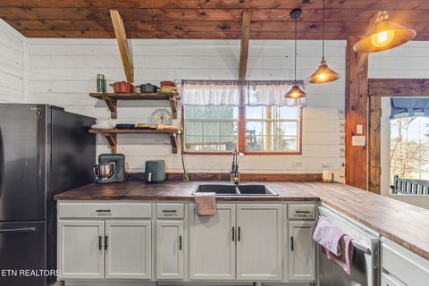 Tiny photo for 361 County Road 38, Riceville, TN 37370 (MLS # 1328103)