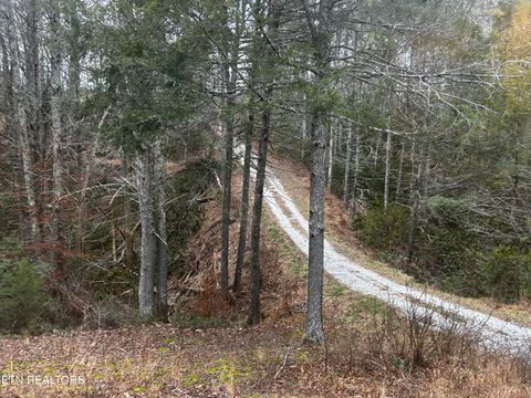 Tiny photo for 367 McJunkin Rd, Tellico Plains, TN 37385 (MLS # 1326949)