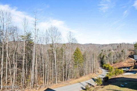 Tiny photo for 113 Pool Drive, LaFollette, TN 37766 (MLS # 1328807)