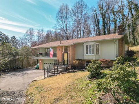 Photo of 163 Nebraska Ave, Oak Ridge, TN 37830 (MLS # 1330761)