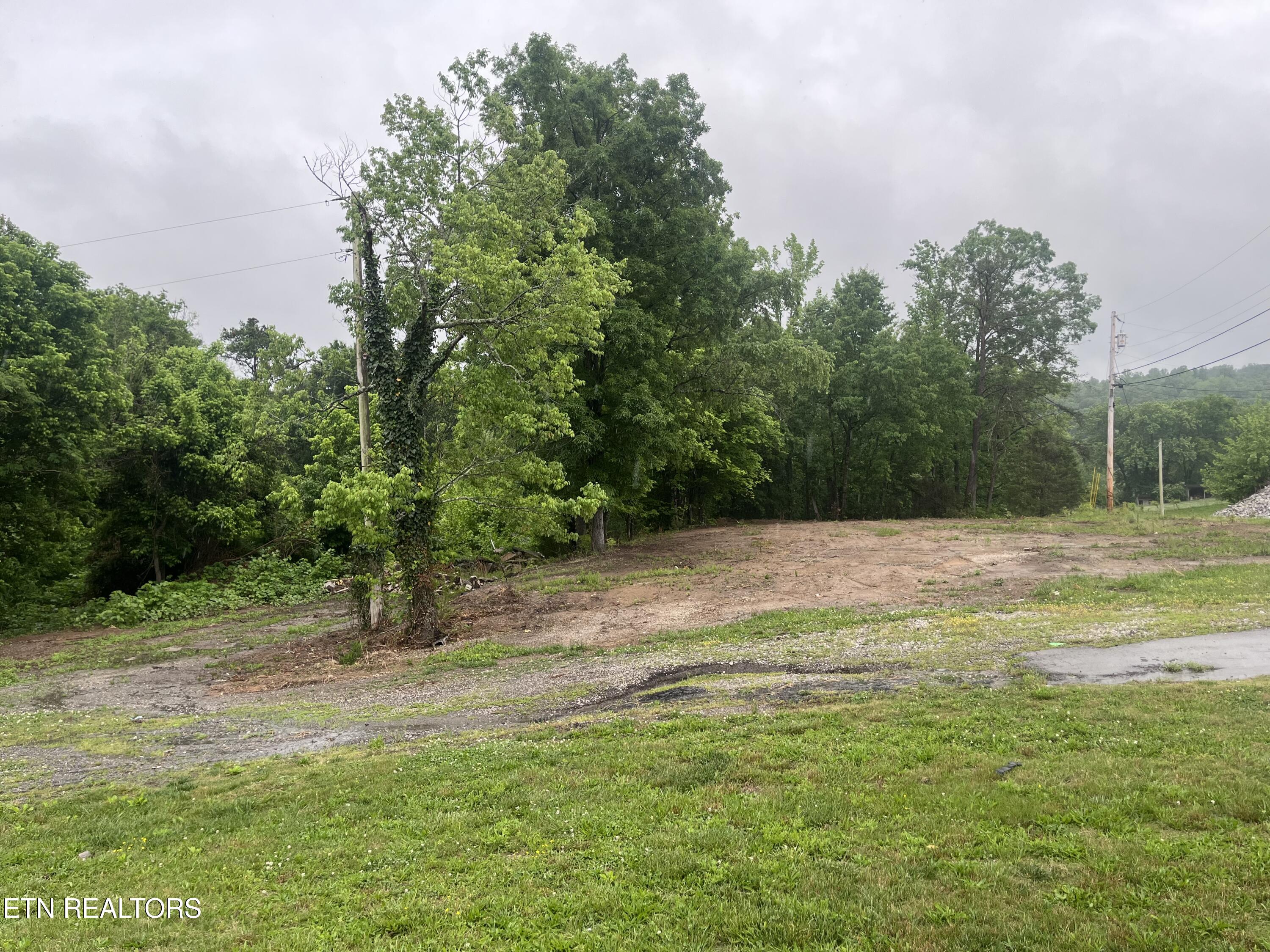1665 Roane State Hwy