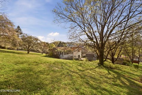 Tiny photo for 307 Walnut St, Clinton, TN 37716 (MLS # 1334491)