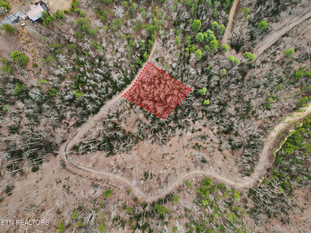 Photo of 101 John Sevier Drive, Sevierville, TN 37876 (MLS # 1324928)