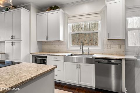 Tiny photo for 1151 Park Lane, Andersonville, TN 37705 (MLS # 1341773)