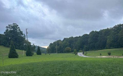 Tiny photo for 1151 Park Lane, Andersonville, TN 37705 (MLS # 1341773)
