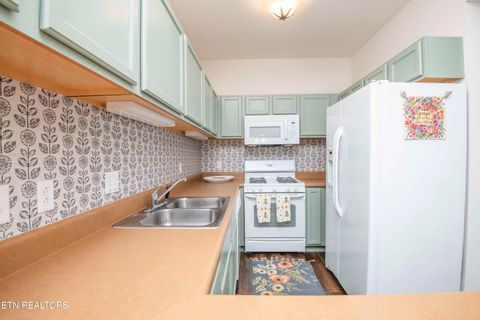 Tiny photo for 527 River Place Way #UNIT 315, Sevierville, TN 37862 (MLS # 1329471)