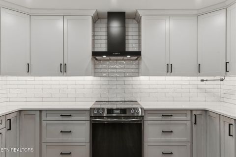 Tiny photo for 4009 Ingram Lane, Knoxville, TN 37938 (MLS # 1334052)