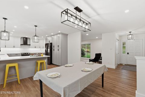 Tiny photo for 4009 Ingram Lane, Knoxville, TN 37938 (MLS # 1334052)