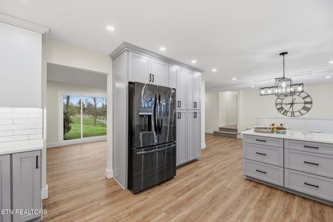 Tiny photo for 4009 Ingram Lane, Knoxville, TN 37938 (MLS # 1334052)