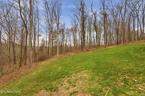 Tiny photo for 4009 Ingram Lane, Knoxville, TN 37938 (MLS # 1334052)