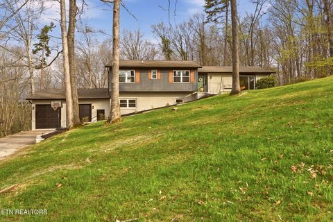 Tiny photo for 4009 Ingram Lane, Knoxville, TN 37938 (MLS # 1334052)