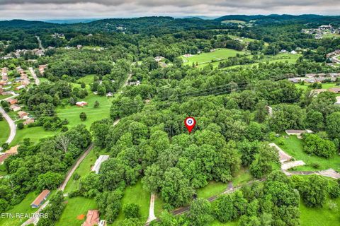 Tiny photo for 4009 Ingram Lane, Knoxville, TN 37938 (MLS # 1334052)