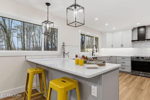 Tiny photo for 4009 Ingram Lane, Knoxville, TN 37938 (MLS # 1334052)