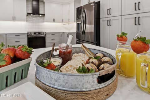 Tiny photo for 4009 Ingram Lane, Knoxville, TN 37938 (MLS # 1334052)