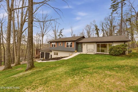 Photo of 4009 Ingram Lane, Knoxville, TN 37938 (MLS # 1334052)