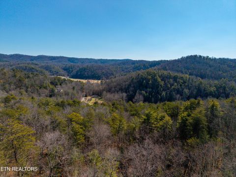 Tiny photo for 000 Towee Falls Road, Tellico Plains, TN 37385 (MLS # 1326607)