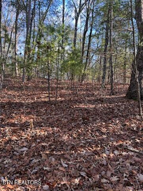 Tiny photo for 000 Towee Falls Road, Tellico Plains, TN 37385 (MLS # 1326607)