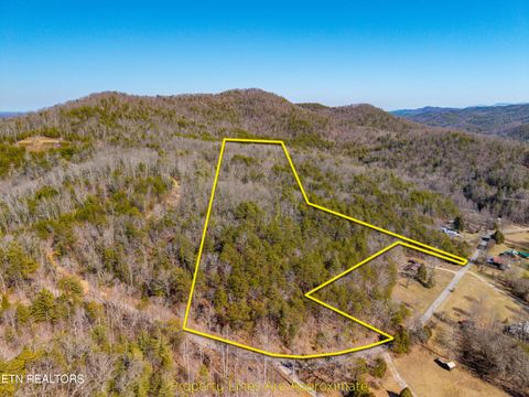Tiny photo for 000 Towee Falls Road, Tellico Plains, TN 37385 (MLS # 1326607)