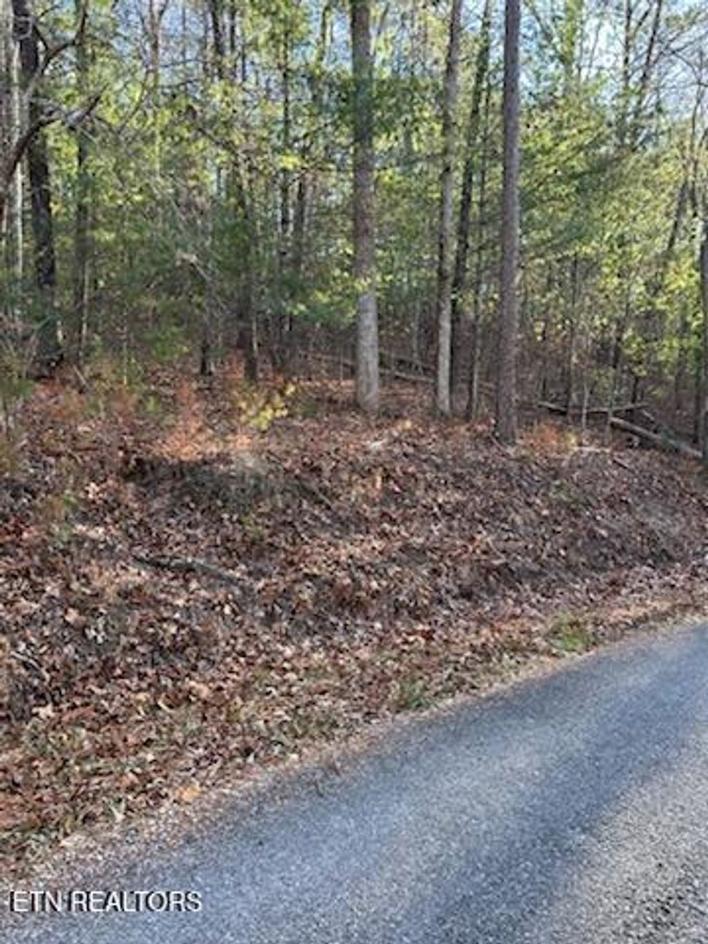 Photo of 000 Towee Falls Road, Tellico Plains, TN 37385 (MLS # 1326607)