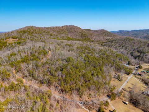 Tiny photo for 000 Towee Falls Road, Tellico Plains, TN 37385 (MLS # 1326607)