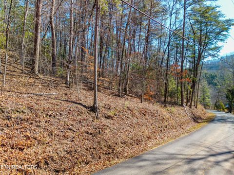 Tiny photo for 000 Towee Falls Road, Tellico Plains, TN 37385 (MLS # 1326607)